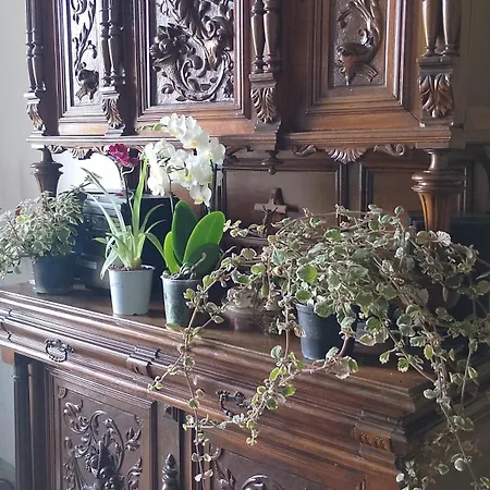 La Vista Sul Castello דירה *