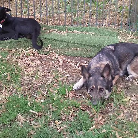 La Vista Sul Castello Apartamento