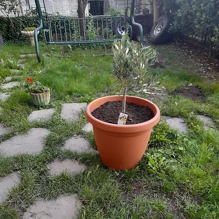 La Vista Sul Castello Apartment *