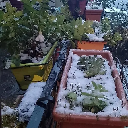 Apartamento La Vista Sul Castello