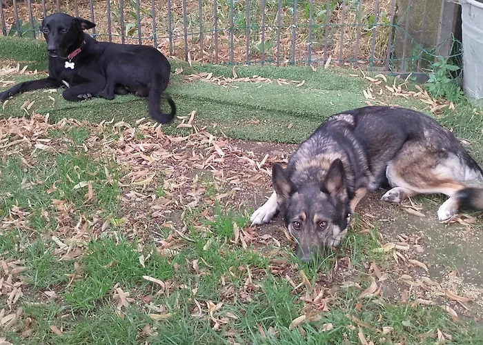 La Vista Sul Castello Lägenhet