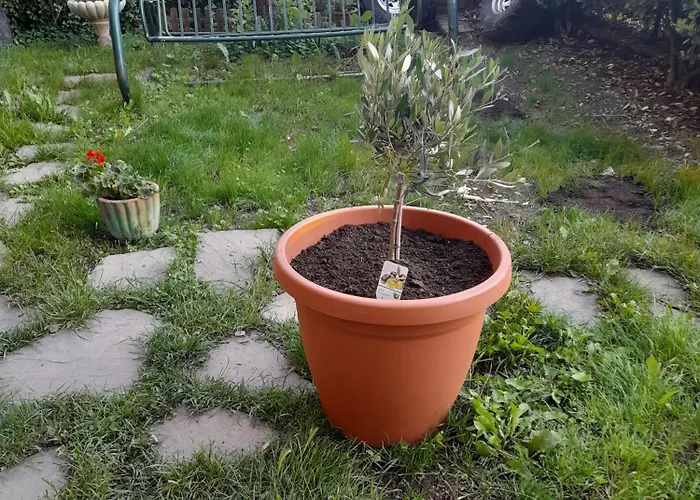 La Vista Sul Castello Appartamento *